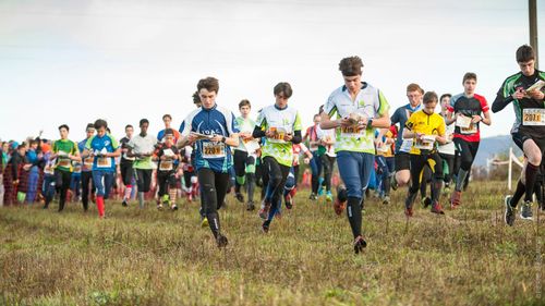 CF de sprint et CNE - L'avant course banner