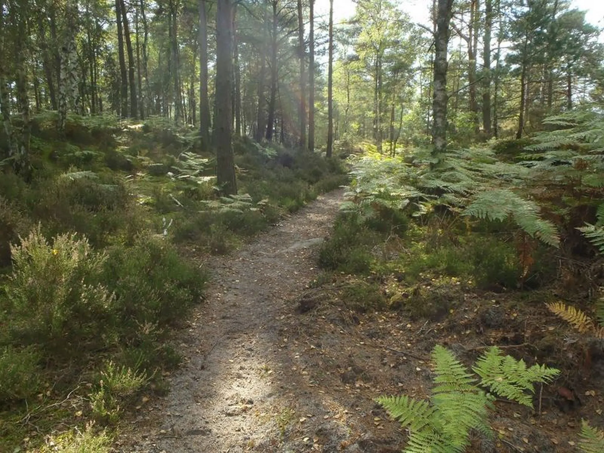 Gorges aux Archers